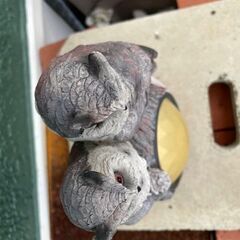 枯れ木のフクロウの画像