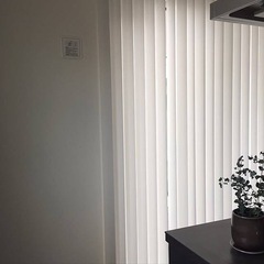 縦 ブラインド カーテン