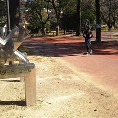 山王公園で軽めのランニングまたはウォーキング☆ - 福岡市