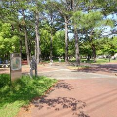 山王公園で軽めのランニングまたはウォーキング☆ - スポーツ