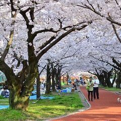 山王公園で軽めのランニングまたはウォーキング☆ − 福岡県