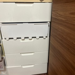 衣装収納ケース　 