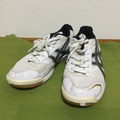 アシックス　バレーボールシューズ