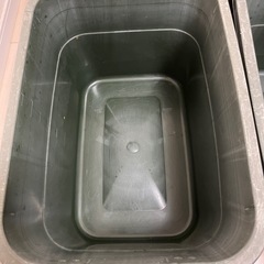 メダカ、お話中タライ♻️9日までの画像