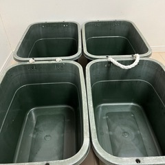 メダカ、お話中タライ♻️9日までの画像