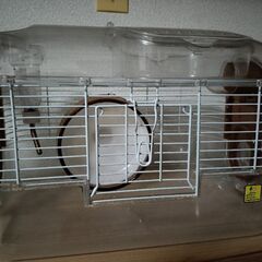 ルックルックフォーチュン