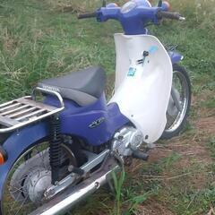 スーパーカブ110 JA07 鹿児島 鹿屋市の画像