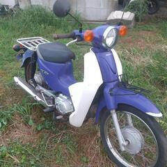 スーパーカブ110 JA07 鹿児島 鹿屋市の画像