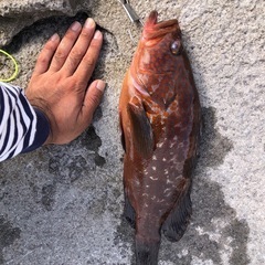 釣りして最高の釣果で笑って帰りましょう - メンバー募集
