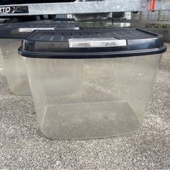 虫カゴ大3個セットの画像