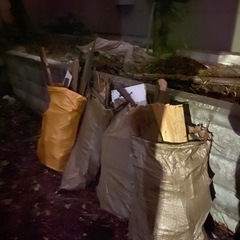 庭木差し上げます^_^非対面🉑の画像