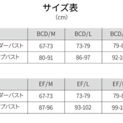 新品未使用　ボディーアーキ　ナイトブラ　レディース　L　の画像