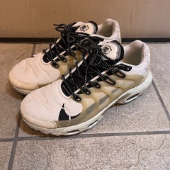 Nike Air Max Terrascape Plus "Sa...