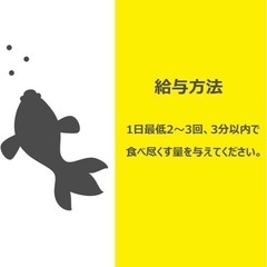 新品未開封　熱帯魚用餌の画像