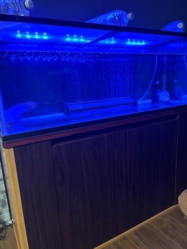 120cm水槽セット