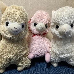 11/1まで！大きなアルパカぬいぐるみ