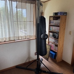 💛サンドバッグ　セットの画像