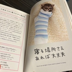 ネコ好きな方へ　ネコの、写真たくさんの人生本の画像
