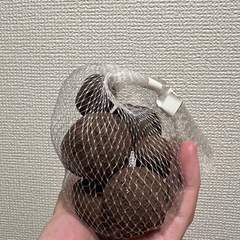 【決定済み】ダイソー　鉢底石の画像