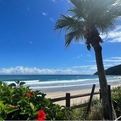 湘南で平日サーフィン行きましょ🏄🏼‍♀️鎌倉〜平塚♬🏄 - 横浜市