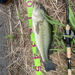 バス釣り友達募集です。