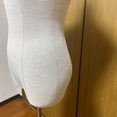 【決まりました】トルソー マネキン 女性 レディース 布製の画像