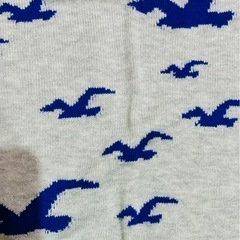 ホリスター　ニットの画像