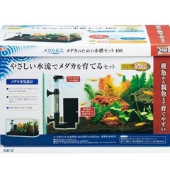 チェリーシュリンプ&新品水槽セットの画像