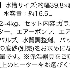 チェリーシュリンプ&新品水槽セットの画像