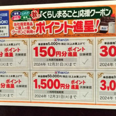 300円で‼　お一人様1,000円引き　伊東園ホテルズ　特別ご優待券付き　2024年10月16日から2025年4月25日宿泊まで有効券付き　読売生活応援クーポン　割引・優待券　東京版　2024年秋冬号の画像
