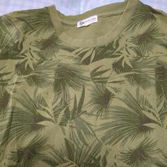 メンズ半袖Tシャツの画像