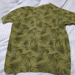 メンズ半袖Tシャツの画像