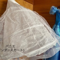 シンデレラ•ドレス 余興・ハロウィン・ クリスマス
 の画像