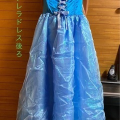 シンデレラ•ドレス 余興・ハロウィン・ クリスマス
 の画像