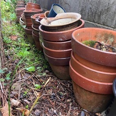 植木鉢　無料　大量にあります　ガーデニング　家庭菜園