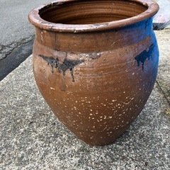 丸かめ　