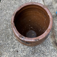 丸かめ　の画像