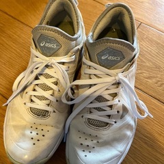 バッシュ　25.0