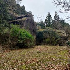 神山町阿野府中の画像