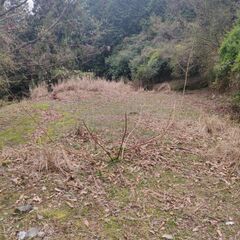 神山町阿野府中