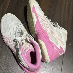 バッシュasicsアシックス 25.0の画像