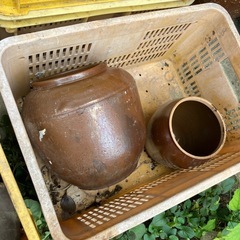 丸かめ　植木鉢　無料の画像
