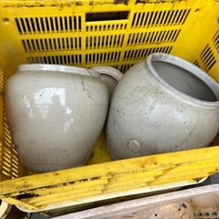 丸かめ　植木鉢　無料の画像
