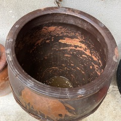 丸かめの画像