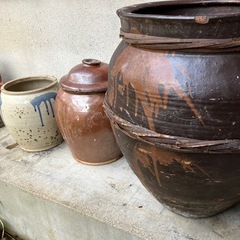 丸かめの画像
