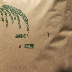 令和6年産ひとめぼれ 二番米(中米) 玄米 20kg