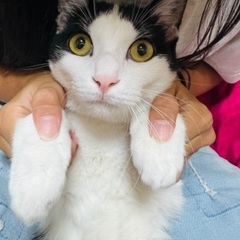 至急です‼️お願いします‼️