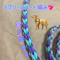 ワンちゃんと一緒にラブリー散歩の画像