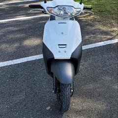 ホンダ　タクト　昨年(2024年)4月購入品　自賠責令和11までの画像