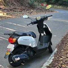 ホンダ　タクト　昨年(2024年)4月購入品　自賠責令和11までの画像